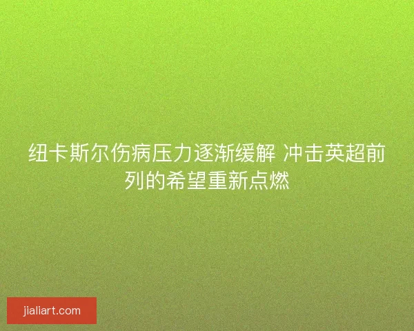 纽卡斯尔伤病压力逐渐缓解 冲击英超前列的希望重新点燃