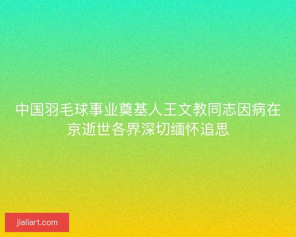 中国羽毛球事业奠基人王文教同志因病在京逝世各界深切缅怀追思